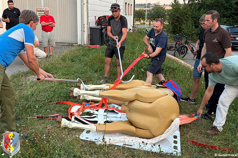 FAlkoven's tweet photo. 02.07.2026: Feuerwehr Alkoven bildet sich zum Thema Großtierrettung weiter -  https://t.co/Jo8kdgrDCu https://t.co/dHWeg8H15E
