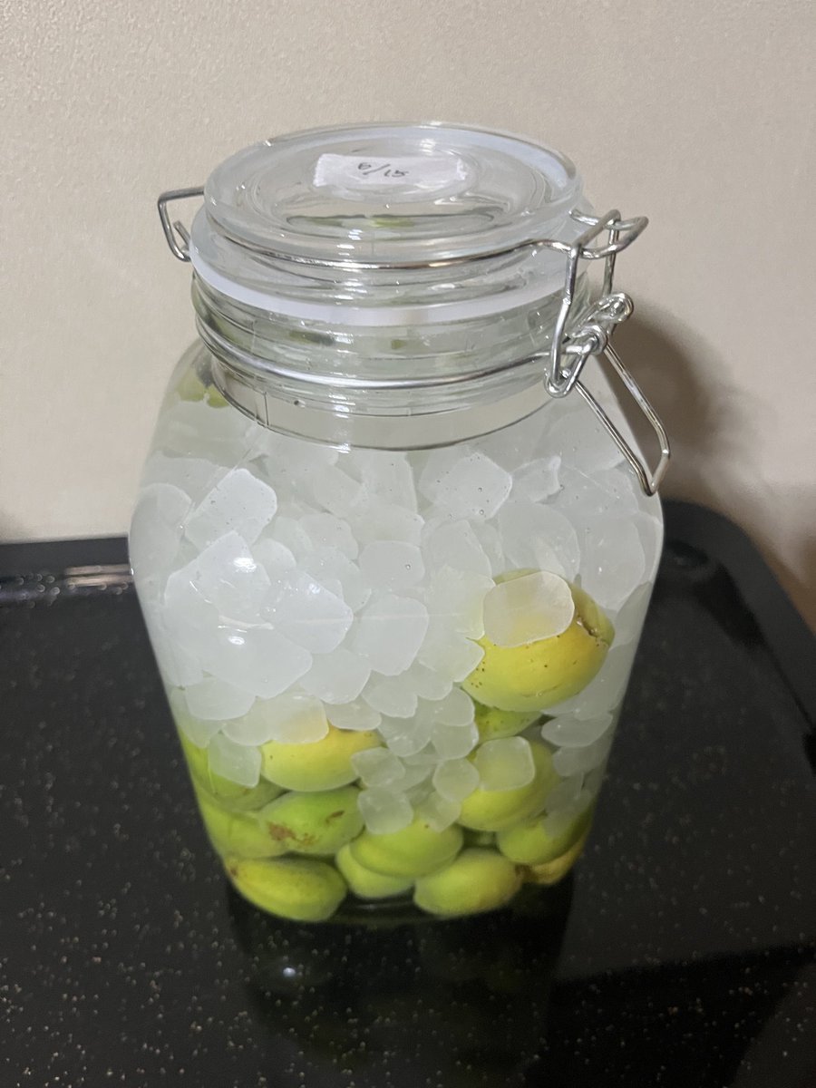 adav_dream's tweet photo. 実はちょっと前から梅酒を作り始めたわ♡
アタシ梅酒をロックで飲むのが好きなのよね♡ https://t.co/OVmXDKEJgc