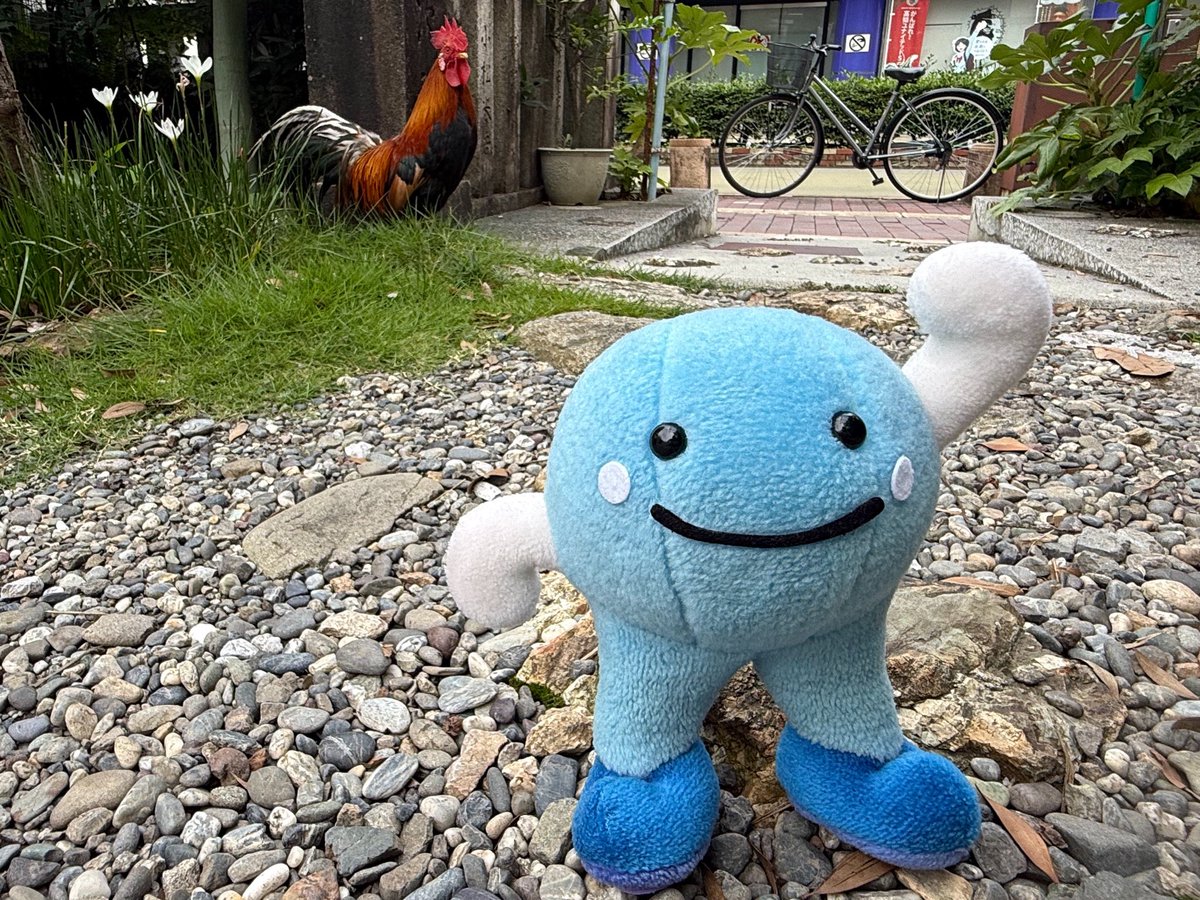 kuroshiokun_kc's tweet photo. 左へ一回、右へ一回、左へ一回…
ちょっと遅くなったけどぼくも回ってきたよ♪
暑さに負けずに頑張るきね〜！

#輪抜け様
#無病息災
#高知地方気象台17時発表
#天気予報 https://t.co/zInZS8WPlX
