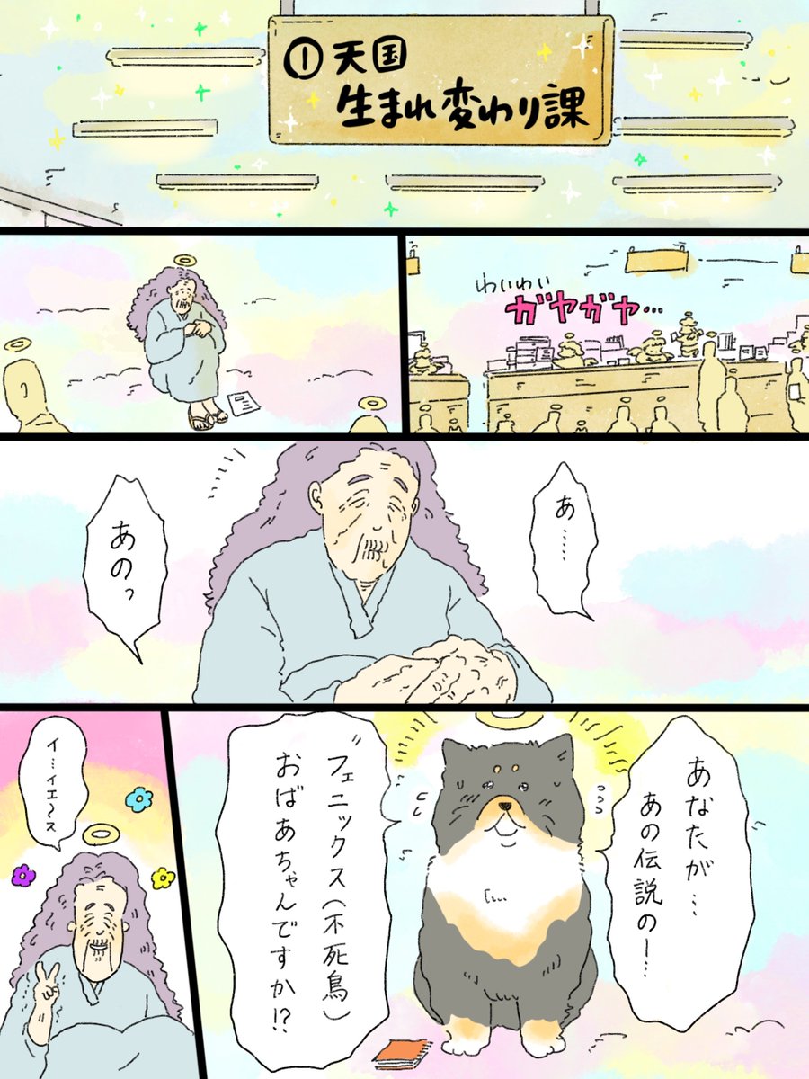 musashi_0303's tweet photo. 天国での暮らしはどうですか「フェニックスおばあちゃん」① https://t.co/BsgRt47S3Z