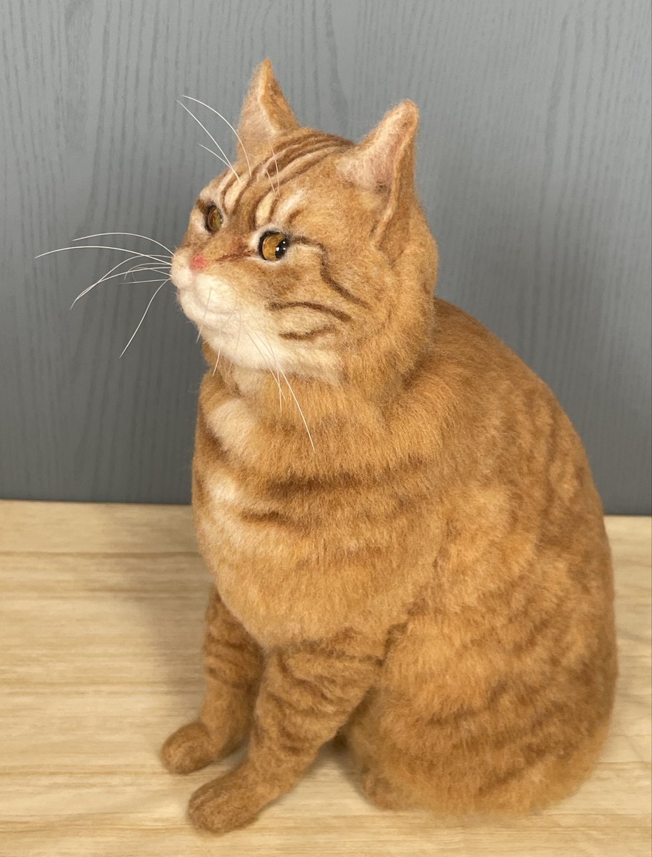 km9_tg's tweet photo. オーダーいただいた猫さん完成！
とても喜んでいただけて嬉しい☺️ https://t.co/AJBjwJEoUN