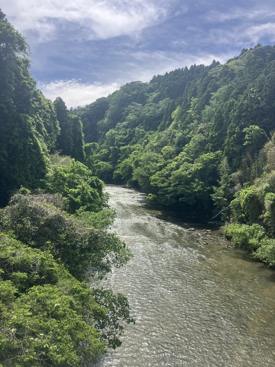 KOMEBOWZ's tweet photo. 雨の日が続くの少し大変ですが、梅雨はお米にとって大切な季節🌾

田植え後の稲は、梅雨の雨で水をしっかり確保し、根を張って大きく成長します。
この時期に丈夫な株になることで、夏の太陽をたっぷり浴びて美味しいお米が育ちます。

ただし、雨が多すぎると日照不足や病気の原因になることも…。
「適度な雨」が美味しいお米づくりのカギなんです！ 🌾✨

#千葉市 #米屋 #新米 #備蓄米 #もち米 #米騒動 #配送 #米配達  #コイン精米