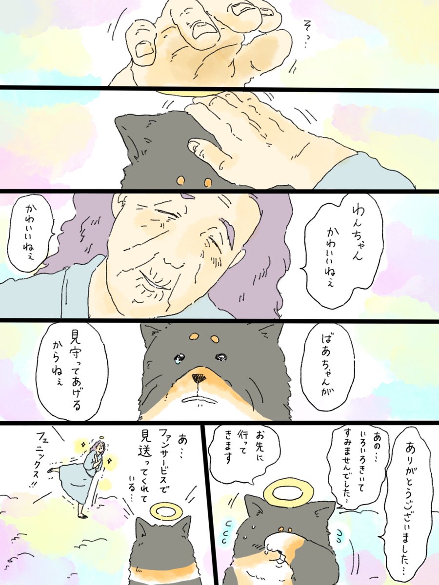 musashi_0303's tweet photo. 天国での暮らしはどうですか「フェニックスおばあちゃん」② https://t.co/6Yd6RDJ98m