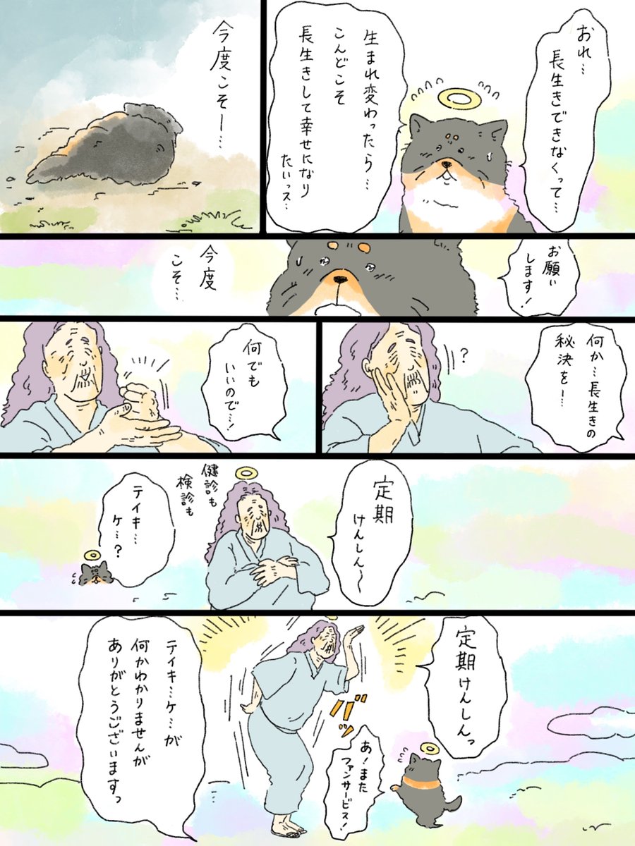 musashi_0303's tweet photo. 天国での暮らしはどうですか「フェニックスおばあちゃん」② https://t.co/6Yd6RDJ98m