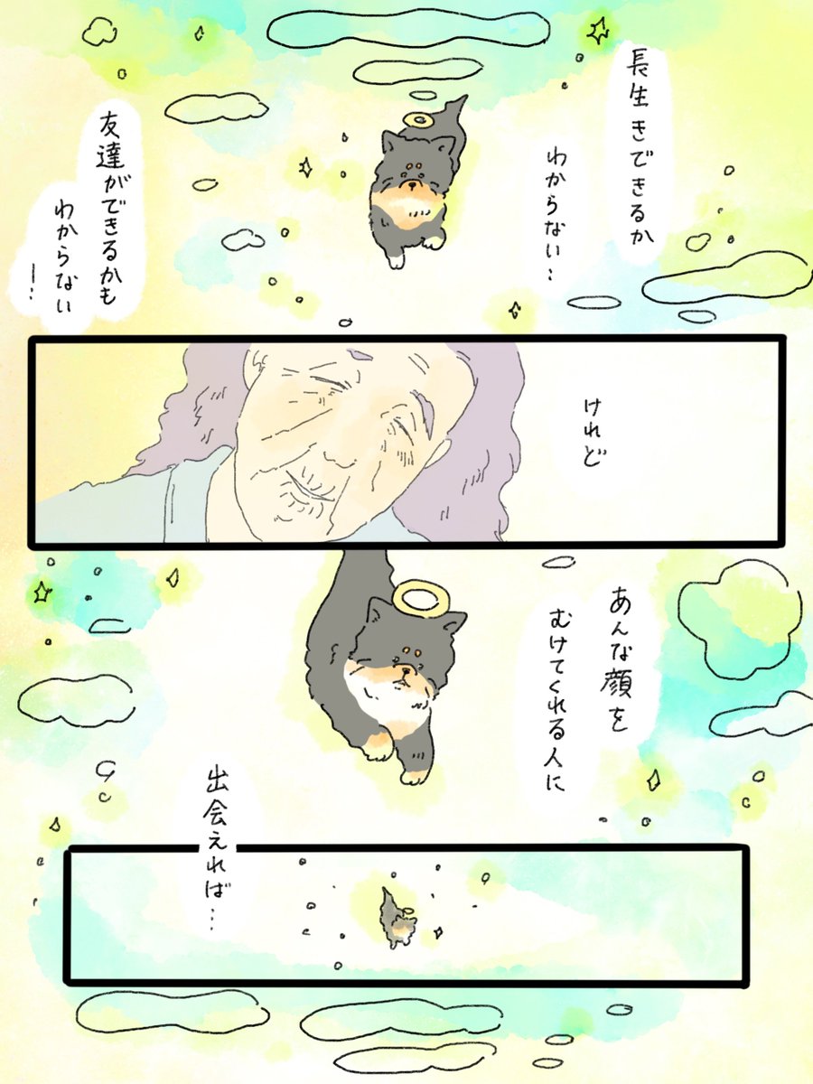 musashi_0303's tweet photo. 天国での暮らしはどうですか「フェニックスおばあちゃん」③
おわり🙇‍♂️🌸再掲失礼しました🙇‍♂️ https://t.co/rRxsTmSwV4