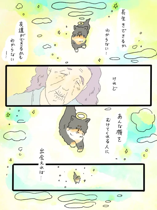 天国での暮らしはどうですか「フェニックスおばあちゃん」③
おわり🙇‍♂️🌸再掲失礼しました🙇‍♂️ 