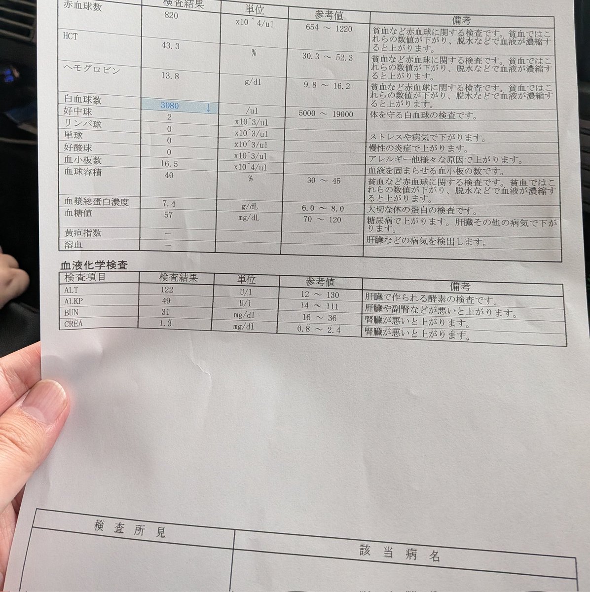 suzukimasahide's tweet photo. 血液検査も良好。
健康体でした。 https://t.co/LsgHU2rVEd