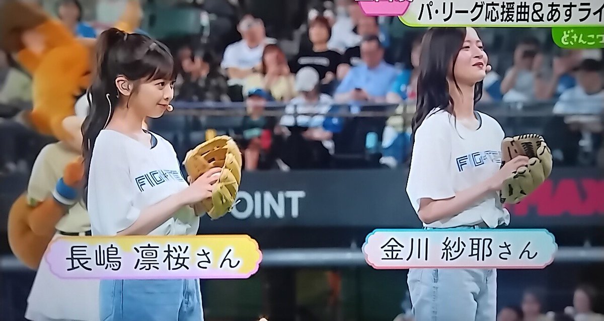 どさんこワイド #乃木坂野球部 〜⚾✨ 🌼🌼🌼🌼🌼🌼🌼🌼🌼⚾️ #金川