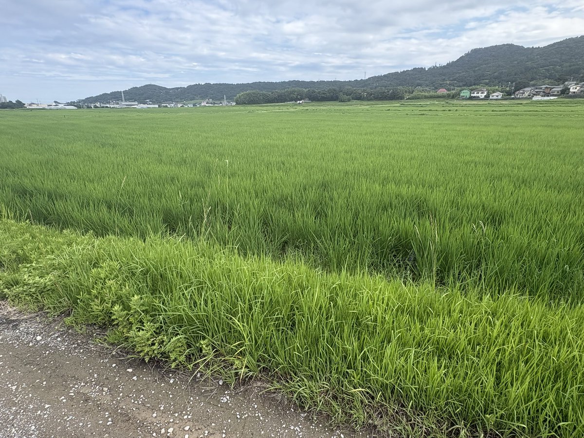 kuryu23's tweet photo. 歩 https://t.co/dKiYNBmq84