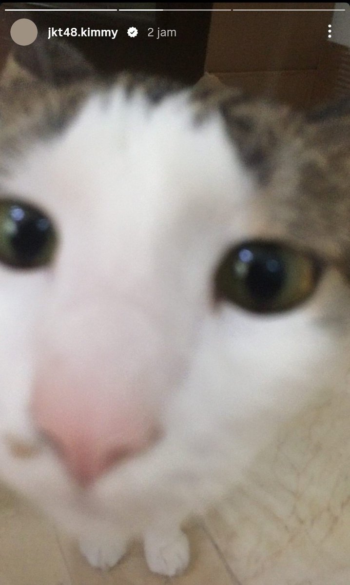 ASWK___'s tweet photo. Mahluk se imup ini tapi ka Muthe takut @Kimmy_JKT48 😾 https://t.co/3Dts4LePg6