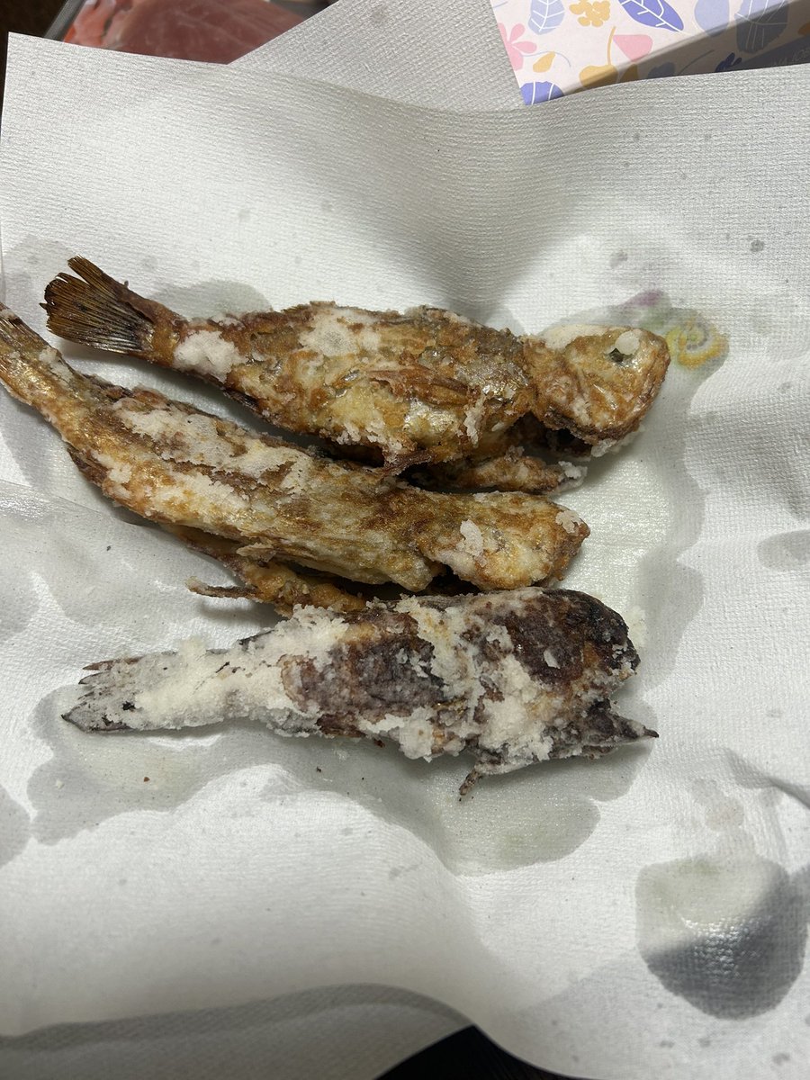 RUIPEX00's tweet photo. 割と酒飲んでなかったつまみは自分で釣った魚 https://t.co/Omn467cgyo