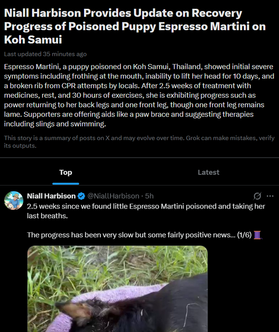 bingusdevss's tweet photo. PNUT 2? JUSTICE FOR ESPRESSO

2.5 weeks ago, Espresso Martini was found poisoned in Koh Samui and barely alive

She couldn’t lift her head for 10 days and had a broken rib from the CPR that saved her

I found out the people taking care of her are part of Happy Doggo, so I’ll be redirecting everything to their charity

X trending: https://t.co/itu3l0F0Vf

Espresso — Justice for Espresso