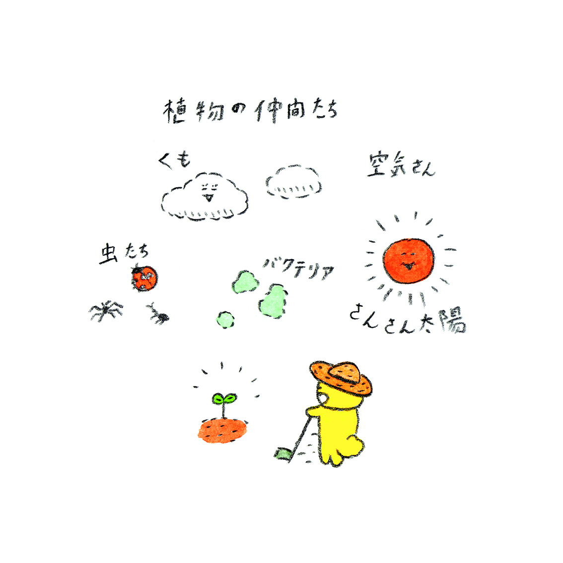 今井杏 (@AnneImai) / Posts / X