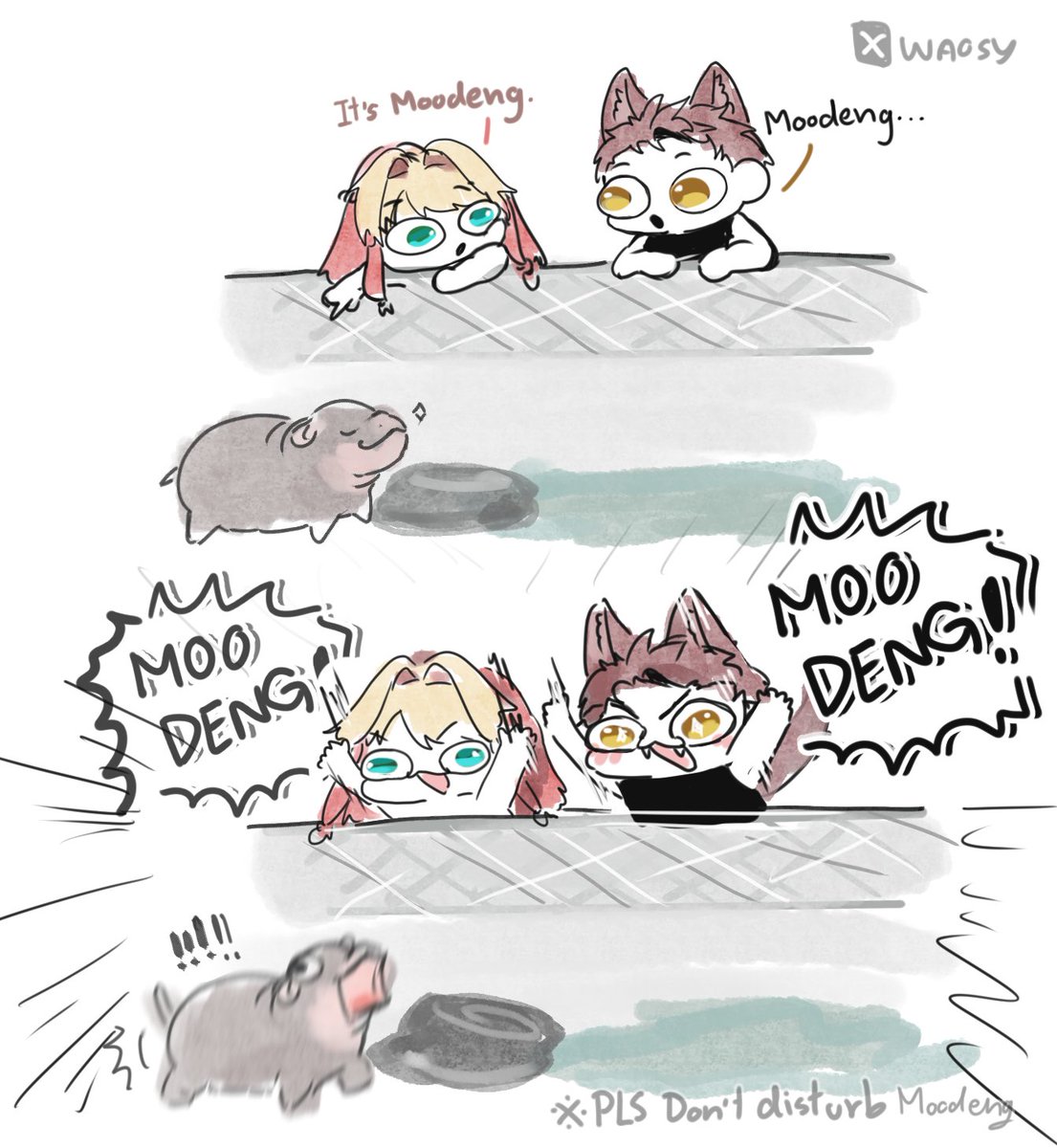 🐟คุนว่าวWaosy🍎🐾 tweet media