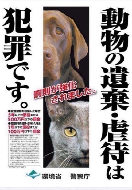 IBARAKI_Animal's tweet photo. 【動物の遺棄・虐待は犯罪です‼️】
動物の愛護及び管理に関する法律により《1年以下の懲役又は100万円以下の罰金》に処される可能性があります。
動物の遺棄・虐待は絶対にやめましょう❗️
捨てられた犬や猫を見つけたら、管轄の警察署までご連絡ください。📞☎️ https://t.co/e4VOIf1Kak https://t.co/HU6TIdtf9V