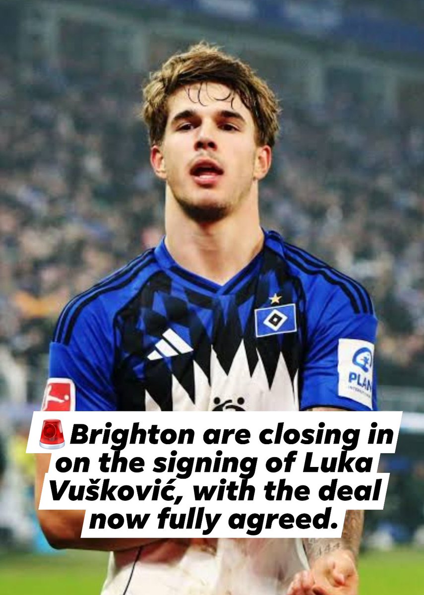 Brighton Albion Fans tweet media