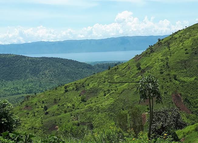 etiennemulindwa's tweet photo. #Sud_Kivu : Une attaque de drone fait des morts dans le village de #Mulima, groupement de #Basilocha à #Fizi. L'attaque est attribuée aux éléments #AFC_M23_Twirwaneho. La frappe a ciblé une école transformée en base militaire. Bilan: au moins 20 morts, civils et militaires. https://t.co/6E6ATvdh0v