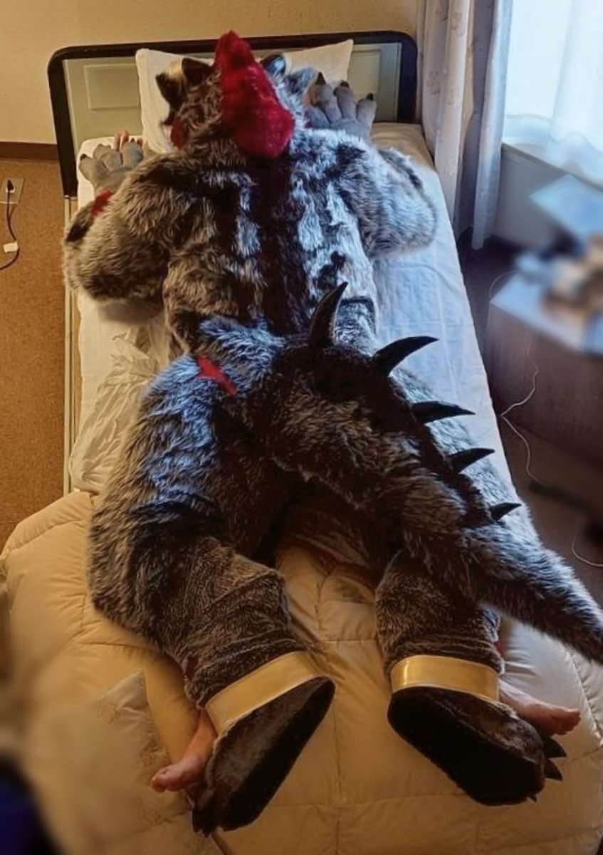 Kongary_sake18's tweet photo. #FursuitFriday
ガド布団でおやすみ https://t.co/D8KgX1ZlUg