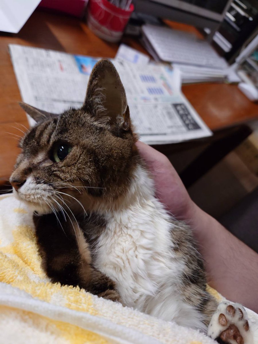 AZUMANOOK's tweet photo. まいちゃん、亡くなる２日前にあづま荘に行きたいと玄関前をウロウロしてて、気分転換に連れて来て撮ったこの写真が最後になってしまいました。でも最後に大好きなあづま荘に来れてよかったね。 https://t.co/4Z0g1j0CIq