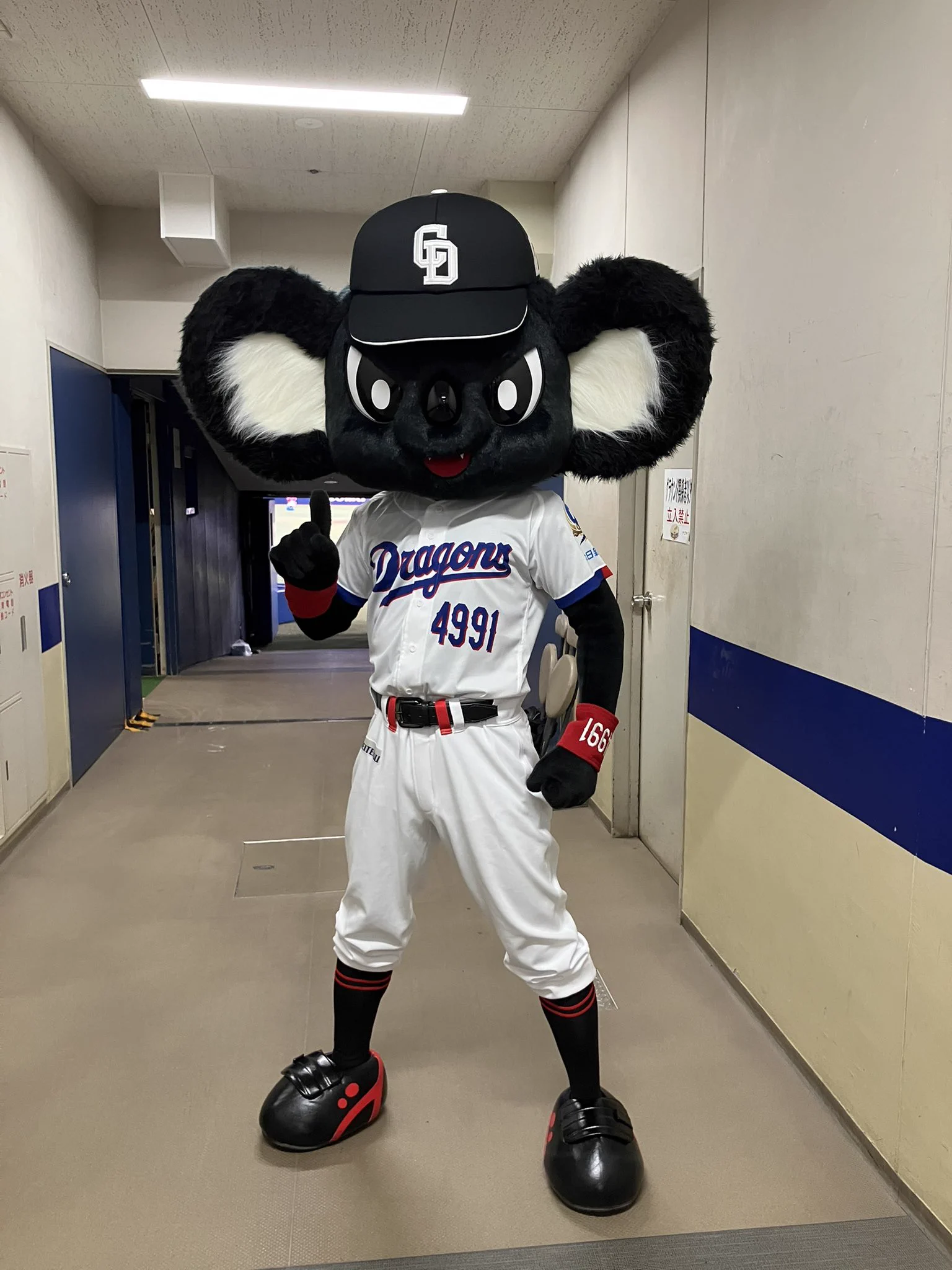 中日ドラゴンズ ドアラ コンバース HMSmU0ybAAAwPvG?format=webp&