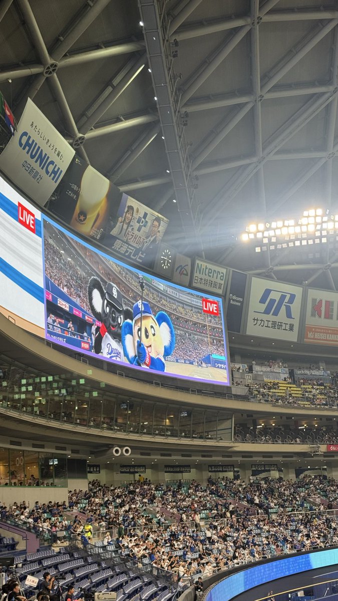 wapikoFebruary6's tweet photo. バンテリン来てます！
ブラックドアラ！ https://t.co/zao1LbqgW6
