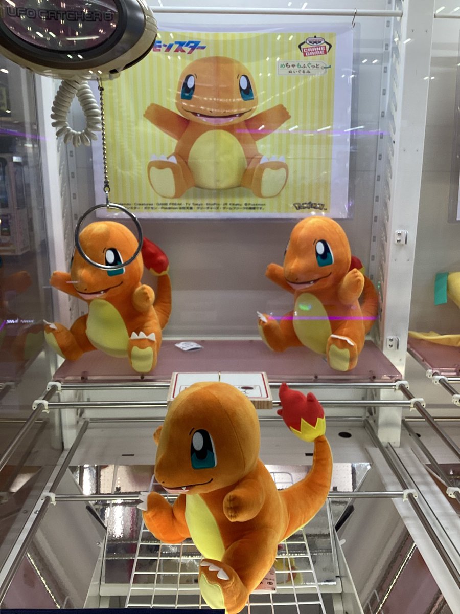 アミューズ情報】 アミューズ売り場の景品紹介です！ 🔥新入荷