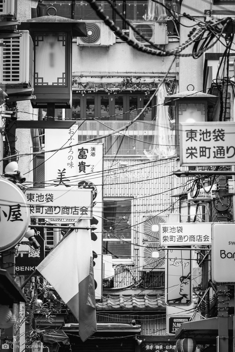 NYAMOPHOTOGRAPH's tweet photo. 写真が趣味だったはずなのに、いつの間にか「帰宅後の未現像RAWデータという名の残業」に追われてるの、現代カメラのバグだと思う。

やれインフルエンサーはこう言ってましたとか、カメラの教科書にはこう書いてましたとか。
自分が楽しめなくなったら趣味は終わり。

​「完璧な現像」を求めてカメラを持ち出すこと、撮ることが億劫になるくらいなら、撮って出しで楽しさを思い出した方がいい。

​自分はJPEGで撮って、その場でウォーターマークを入れて即アップ。
写真の鮮度は撮った直後が一番高いと思ってるし、何より「すぐ誰かに見せられるライブ感」こそが、2500日以上毎日スナップを撮り続けられている一番の秘訣かなと感じてる。

​現像は労働、撮って出しはエンタメ。
カメラを趣味に戻そう🫶
さっき撮ってきたｽﾅｯﾌﾟを添えて📸