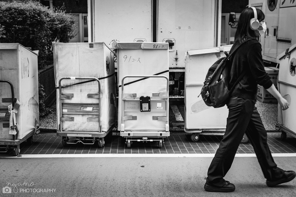 NYAMOPHOTOGRAPH's tweet photo. 写真が趣味だったはずなのに、いつの間にか「帰宅後の未現像RAWデータという名の残業」に追われてるの、現代カメラのバグだと思う。

やれインフルエンサーはこう言ってましたとか、カメラの教科書にはこう書いてましたとか。
自分が楽しめなくなったら趣味は終わり。

​「完璧な現像」を求めてカメラを持ち出すこと、撮ることが億劫になるくらいなら、撮って出しで楽しさを思い出した方がいい。

​自分はJPEGで撮って、その場でウォーターマークを入れて即アップ。
写真の鮮度は撮った直後が一番高いと思ってるし、何より「すぐ誰かに見せられるライブ感」こそが、2500日以上毎日スナップを撮り続けられている一番の秘訣かなと感じてる。

​現像は労働、撮って出しはエンタメ。
カメラを趣味に戻そう🫶
さっき撮ってきたｽﾅｯﾌﾟを添えて📸