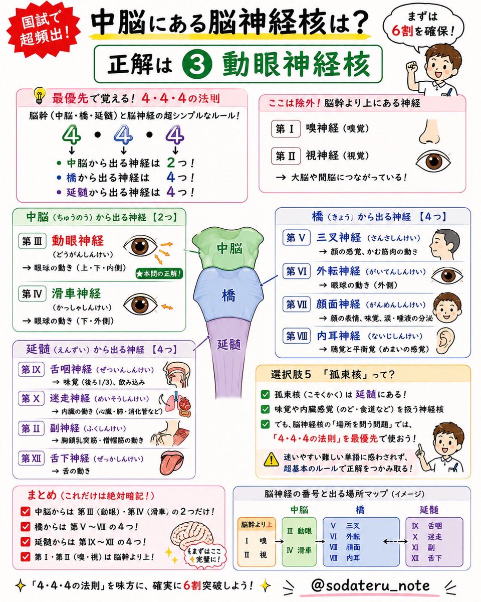 国試対策