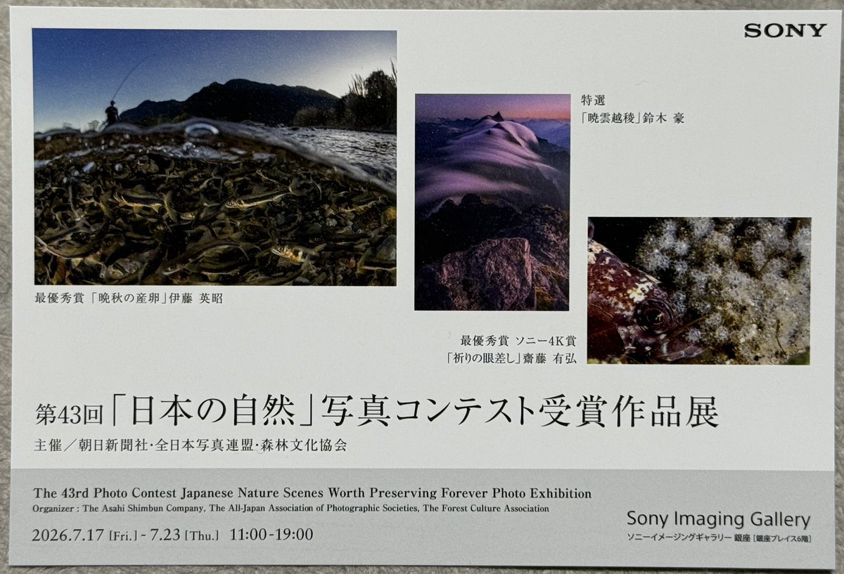 atomdiver's tweet photo. 第43回『日本の自然』写真コンテスト入賞🎊
プロアマ問わずのレベルの高いフォトコン📷
初めて応募して都道府県一賞いただきました🏆
表彰式は朝日新聞本社
巡回展は17日からソニー銀座、福岡、大阪、名古屋、札幌などなど

https://t.co/YMNdFRZycN https://t.co/wWH5OE4Osk