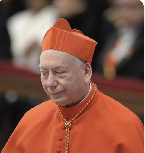 ProtecttheFaith's tweet photo. Not excommunicated

Cardinal Francesco Coccopalmerio who held a homosexual, cocaine fuelled orgy in his Vatican apartment organised by his private secretary Msgr. Luigi Capozzi https://t.co/yK7qtPgplg