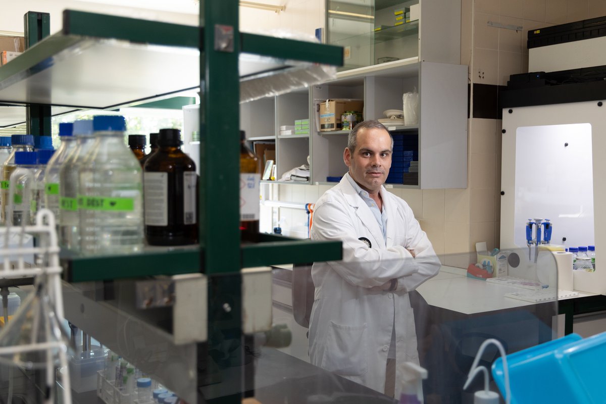IBSAL_IIS's tweet photo. El proyecto liderado por José Manuel Muñoz Félix 👨‍🔬 (@IBSAL_IIS, @usal) ha sido seleccionado en la categoría de Oncología de la V convocatoria de ayudas a la investigación en Ciencias de la Salud de la @FundAlimerka 🔬👏

📰 Lee más: https://t.co/4DJcDuEwyU https://t.co/cPanpWyp8M