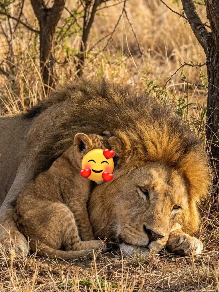 LionInCrisis's tweet photo. me and my son https://t.co/lcoMjY1Zkv