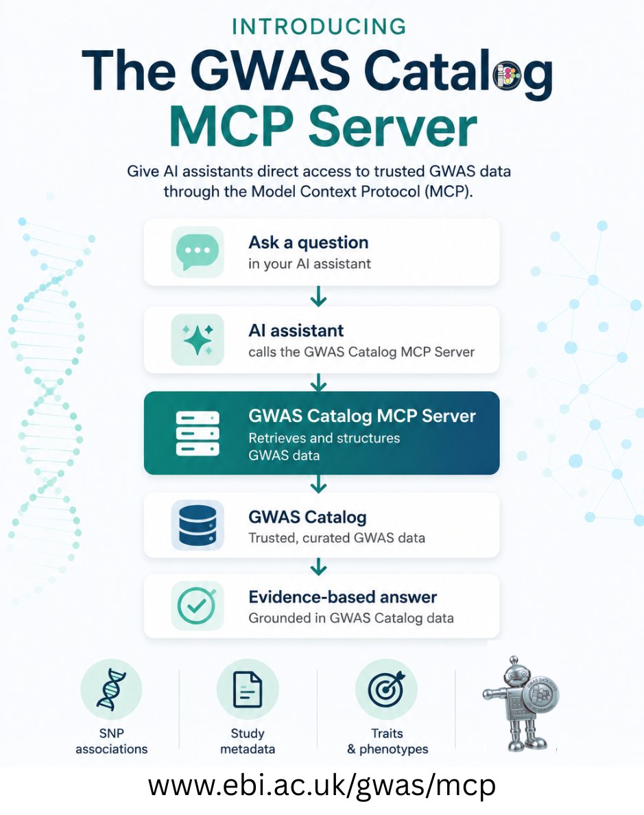 GWASCatalog's tweet photo. The GWAS Catalog now has an MCP server.

Natural language queries over associations, studies, and traits: live from the Catalog. Works with any MCP-compatible client.

🧑‍💻 Most significant type 2 diabetes association?
🤖 TCF7L2 rs7903146, p = 3×10⁻¹³¹⁵ 

https://t.co/wBRtYhu14X https://t.co/NFdBSmYX5Y