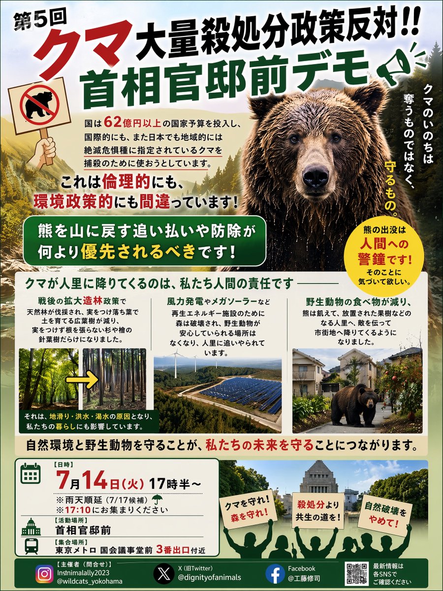 dignityofanimal's tweet photo. すみません🙏次回日程が決まってから告知を出すのが遅れ、あと10日後に迫ってしまいました💦
どうか拡散ほど、ご協力お願いできればと思います🙇

📣第5回クマ大量殺処分政策反対‼️水源の森を守ろう‼️
首相官邸前抗議アクション✊🪧📢

【日時】7月14日(火)17時半〜
※雨天順延(7/17候補)
※17:10にお集まりください🙏
【活動場所】首相官邸前
【集合場所】東京メトロ　国会議事堂前　3番出口付近
【主催者(問合せ)】
🌳クマと森の守り人ネットワーク🐻
⭐️X @dignityofanimals
⭐️Instagram @ animalally2023 
　　　　　　@ wildcats_yokohama
⭐️Facebook @ 工藤修司

この活動は、今年3月にクマ大量殺処分政策に62億円の予算が計上され、環境省がクマ対策ガイドラインを出した際、国に方向転換を求めるべく、3月末より毎月続けています。
各自治体は、国が決めた方針に乗っかる形で、熊の捕殺体制を万全にする計画を策定し、国から交付金をもらって捕殺事業を展開しています。電気柵等、防除のための予算はその中のごくわずか。
本来であれば、熊が市街地に迷い込んできたのあれば、まずは、追い払いをすべき所、追い払いをしている自治体は、絶滅危惧種の地域個体群の所を除いては、ほとんどないようです。
軽井沢のベアドッグをピッキオさんから、各自治体は学んで欲しい🙏長野県全体に広めてほしい。東京にも取り入れてほしいと、先日東京都環境局にお願いしました。

それと、徹底した防除対策。クマごろしに税金を使う前に、防除を尽くすべきです。ゴミ箱一つ、まともに対策できていない地域がほとんどです。屋外に設置するゴミ箱は、北欧にあるような鍵付きで匂いも漏れない頑丈なゴミ箱に全て変えること。それにクマ対策費を使うべきです。クマ撃退ロボット、モンスターウルフなどをクマの多い東北では、あちこちに設置したらいいのに、山裾の民家や店舗の周囲に何も設置されていないとか。
防除もせずに、ただ、熊が出た！駆除しろ！と騒ぐのはやめてもらいたい。国をあげて命の軽視にも程がある。

クマの捕殺された遺体が大量に出るので、秋田県のように、有効活用しようと、県産の熊肉をブランド化し、熊肉ジビエを新たな産業としていくことを宣言した所もあります。
熊の胆汁は、高値で取引される熊胆として非常に経済的な価値が高く、そこに目をつけた金の亡者達が裏でわらわらと熊にたかってるように感じます。熊肉ジビエはそれ以外の部位の有効利用。本当は、熊胆狙いではないのか。熊の遺体の解体処理施設の費用までクマ対策費で出して貰えるよう国に求めるとか。

奥山も、熊たちの居場所を破壊し、大規模な風力発電施設を建設。再生エネルギーの事業者に利益誘導しているとか。

海外では、「風車が立つと熊が出る」と言われています。
風力発電は自然環境、クマなど野生動物に悪影響を与えることが自明の理になっています。

山の尾根沿いなどに森林を大規模に伐採し、巨大な風車を林立させれば、クマ達は餌もなくなり、静かに寝ることもできなくなり、人里へ逃げざるを得ません。
クマの出没地域、クマがどこから来ているか、その流れを調査するべきです。

森は、戦後の拡大造林政策の為に、天然林に多くあった広葉樹は伐採され、杉や檜などの暗い人工林だらけ。
杉は広葉樹のように根を張らず、落葉もしないので、雨が降ると土の中に水を溜められず流れてしまうので、地滑りや洪水が起きやすくなっています。また、雨が降らないと土壌の涵養機能も働かず簡単に土壌は乾き、渇水となります。
私達の生活にも支障を及ぼす災害の原因となっています。杉は私達国民の多くを花粉症にして健康被害ももたらしました。
国策で今度は針葉樹から広葉樹の森(又は混交林)に戻してください‼️

毎月、環境省前、農水省(林野庁)などで抗議活動を行っており、次回は、2回となる首相官邸前で行います。
政府と政府に忖度しているマスコミは、熊を害獣として悪者に仕立て上げるプロパガンダを行い、駆除という言葉で、国民に「殺し」を正当化する刷り込みをしています。
熊を正しく畏れ、野生動物に対する畏敬の念をもつべきです。そして、熊出没の問題は、熊を殺せば解決するという問題ではありません。
私たちが生きる糧となる水源の森に異変が起きていることに気づかなければ、私たちの未来もない。そのことを、国に、首相に訴えます‼️✊

一緒に声をあげませんか❓
宜しくお願いします🙇

#熊との共存 #クマとの共存
#首相官邸前抗議 
#クマ利権　#水源の森