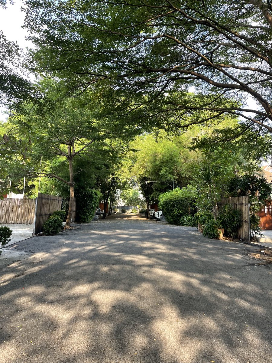 veja2025's tweet photo. พรุ่งนี้เข้าป่า หาเพื่อนชนแก้วค่ะ https://t.co/X6zmJTcAJo