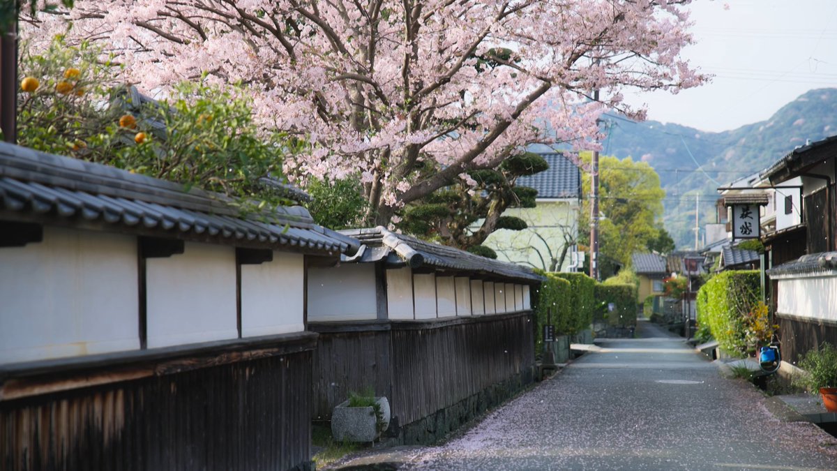 heritage_TBS's tweet photo. 今週は「幕末のロマン薫る城下町～萩」
山口県の萩は木戸孝允や伊藤博文など明治の産業革命につながる多くの人材を輩出。その原点に吉田松陰が主宰した松下村塾がありました。そんな吉田松陰の教えを今に受け継ぐ小学校も訪問。春から初夏、日本の未来を育んだ萩の町を紹介します。
#鈴木亮平 https://t.co/hdA3LJTz0B