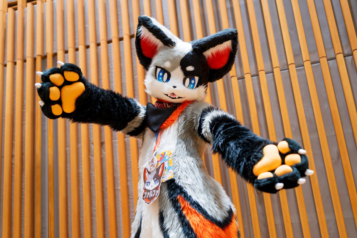 dyoco_moni's tweet photo. 今週もお疲れ様🐾🐾

#FursuitFriday https://t.co/EbCwHzXM59