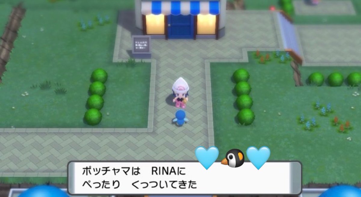 RINAsts91's tweet photo. ポッチャマ好きな方たくさんいる...！

もし良ければフォローやポケポケのフレンドお待ちしております~!!🐧💖

名前がかなり厚かましいのですが、色んな国の方にもご協力してもらってポッチャマ集めてます😂笑

SleepもGOもやっています♪ https://t.co/FUT252OILM
