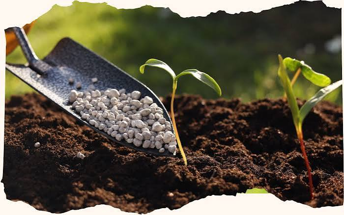ksestocksdotcom's tweet photo. Pakistan #FertilizerSector: "Fertilizer demand is expected to remain supported heading into the Rabi season.
Margins to Broadly Remain Stable - Gross margins are expected to increase slightly, supported by higher urea prices and inventory gains on DAP, reaching 33.17% versus 32.58% in the same period last year."
Source: @ChaseSecurities
#PSX #PAKISTAN