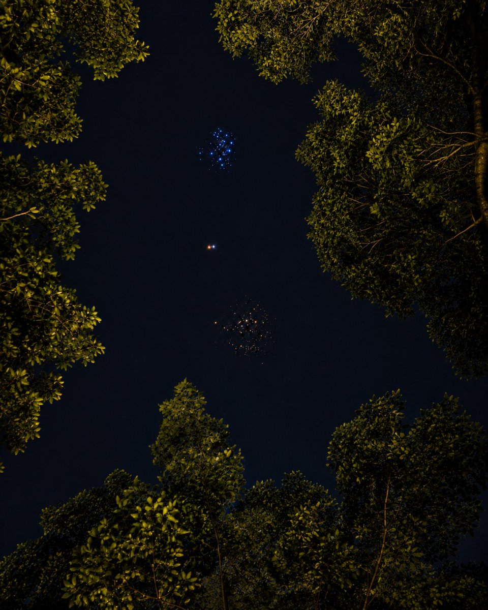 Star Walk tweet media