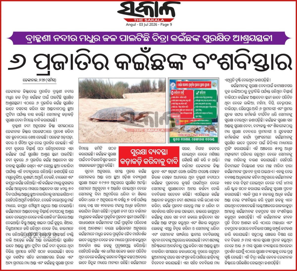 SanjitDas01's tweet photo. ଢ଼େଙ୍କାନାଳ: ବ୍ରାହ୍ମଣୀ ନଦକୂଳରେ ୬ପ୍ରକାର କଇଁଛ ମାନଙ୍କ ବଂଶବିସ୍ତାର  ହେଉଛି।ସେମାନଙ୍କ ସୁରକ୍ଷାକୁ କଡ଼ାକଡ଼ି କରିବାକୁ ଅନୁରୋଧ। ପ୍ରକାଶିତ ଖବରକୁ ଅନୁଧ୍ୟାନ କରି ଆବଶ୍ୟକୀୟ ପଦକ୍ଷେପ ଗ୍ରହଣ କରିବାକୁ ଅନୁରୋଧ। @RCCF_Angul @PCCFWL_Odisha @districtadmndkl @CMO_Odisha @SecyChief @ForestDeptt @MohanMOdisha https://t.co/YwJvotCdst