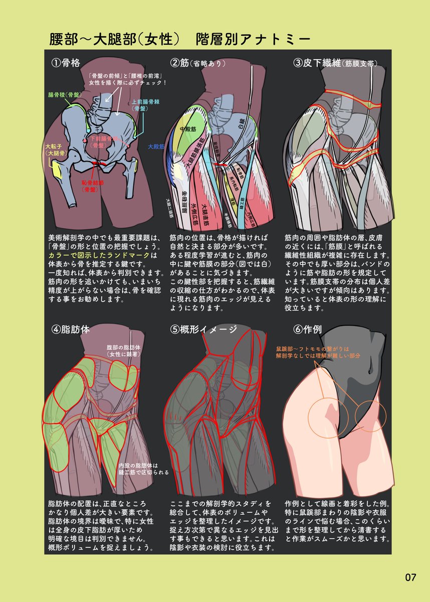 tatami_loop's tweet photo. 同人誌「Foci」の抜粋。
脚や腰に関する勉強スケッチをまとめた冊子です。
（PDFのみ英語版あり） https://t.co/BcUqaYd3AV