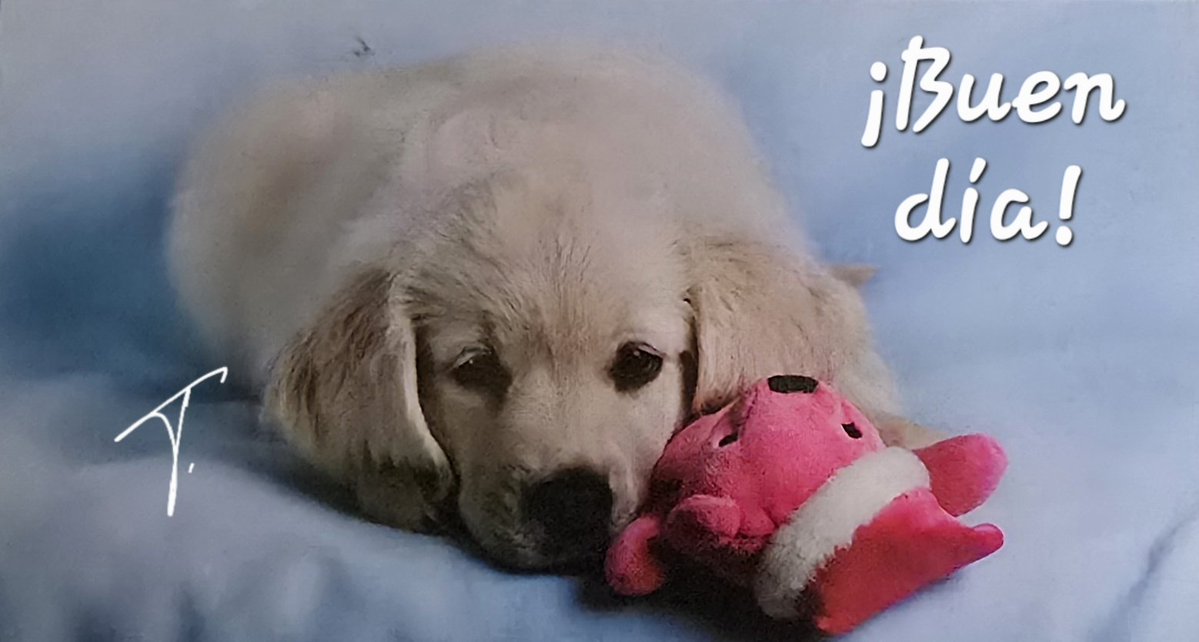 MariTension's tweet photo. ¡Muy buen día, Mundo! #TwitterOn https://t.co/jrbzsJlF5P