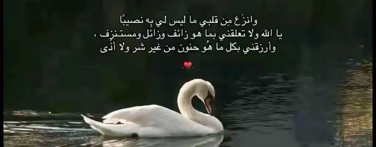 lama_369's tweet photo. https://t.co/8bicw4lYGm