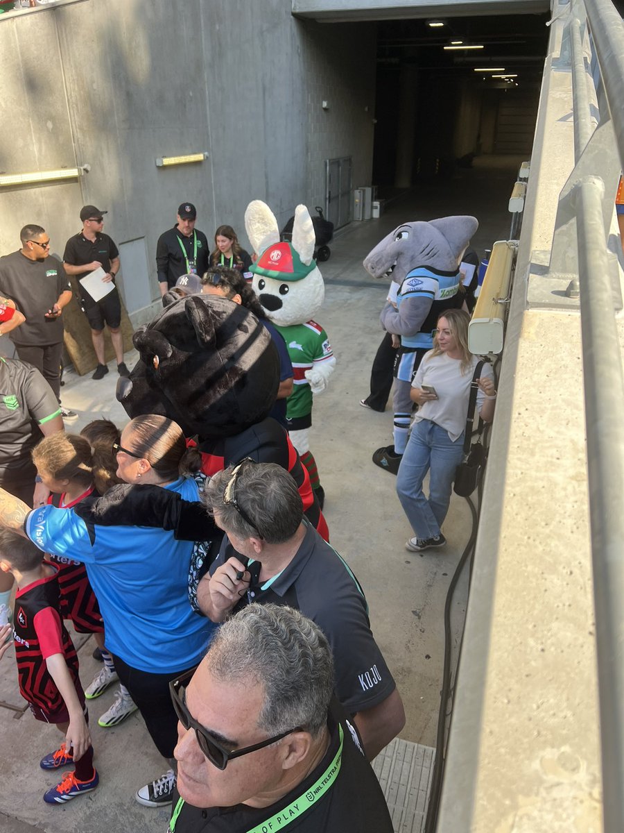 kevantan_11's tweet photo. Kodi with Reefy & Reggie
See full vid here: https://t.co/nrniAcg2E7
#NRL #NRL2026 #rugby #rugbyleague #southsydneyrabbitohs #cronullasharks #PerthBears #optusstadium #Perth #wa #WesternAustralia #mascot #mascots #nrlmascot #nrlmascots #reggie #reggierabbit #Reefy #kodi https://t.co/2nHky1RnLG