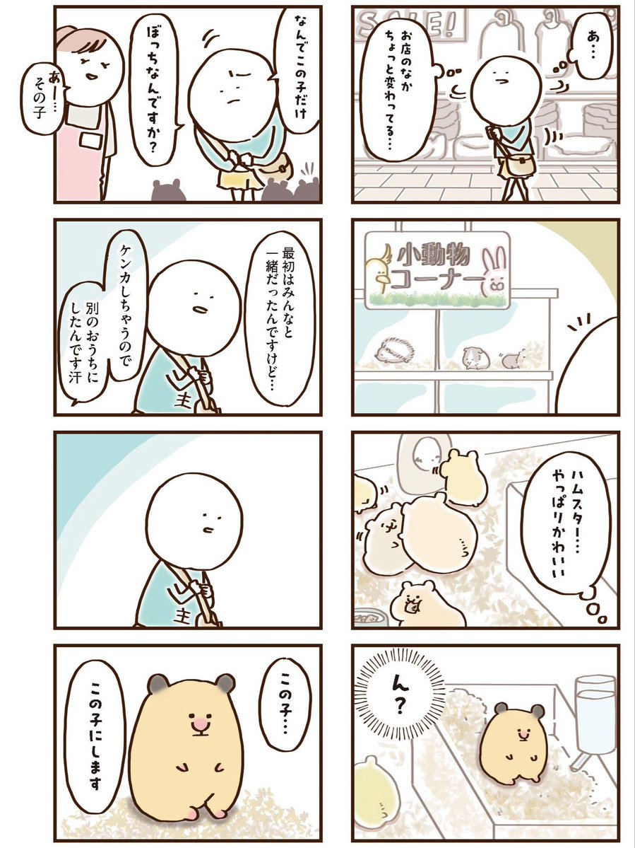 ぼっちだったハムスター
(1/2) 