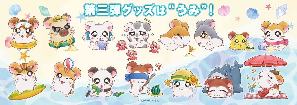 ttk86shop's tweet photo. 🌻‥∵‥‥∵‥‥∵‥‥🐹
#とっとこハムタウンショップ
　　　～新商品情報～
🐹‥∵‥‥∵‥‥∵‥‥🌻

第３弾グッズは🌊海🏄
太陽サンサン‼️まぶしい海辺で元気に遊ぶハムちゃんずにご注目🔍
暑い夏をハムちゃんずといっしょに楽しもう🌞
詳細はツリーをご確認ください✨

🔗https://t.co/FCmqZayRnp

#ハム太郎　#ハムタウン