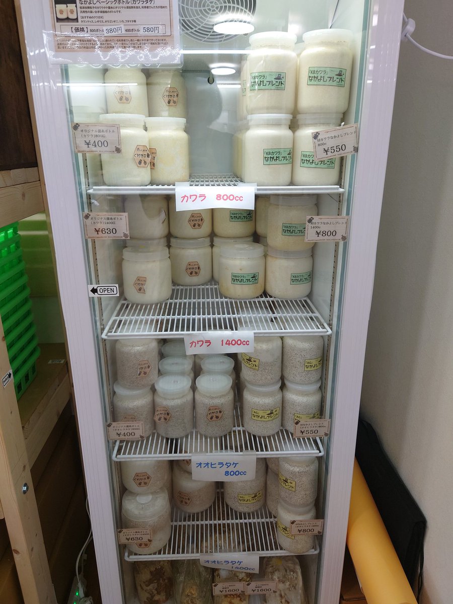 10％OFF開始します！今日は菌糸です！