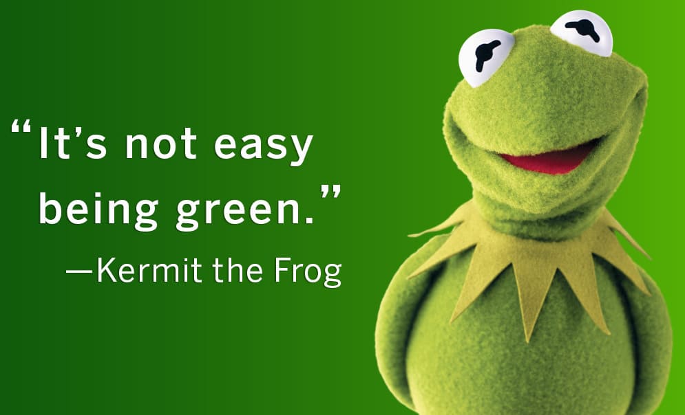 gdennis1963's tweet photo. @trumplicans2024 Nah. Kermit has enough issues already! https://t.co/jQOheu21Tk